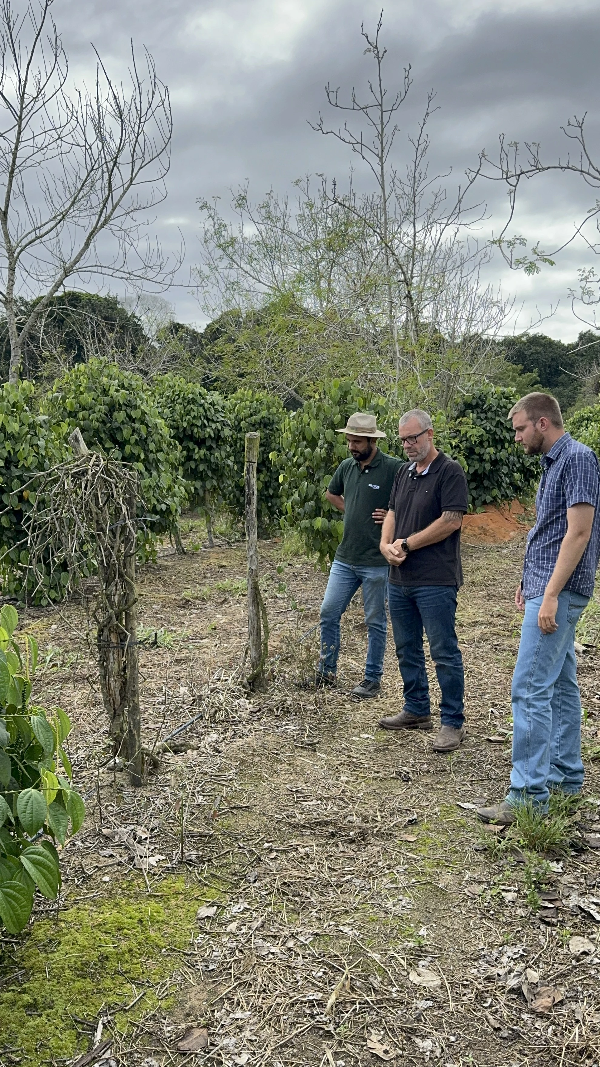 Experiência prática da Erasmo Agro no campo — imagem 6 de 38